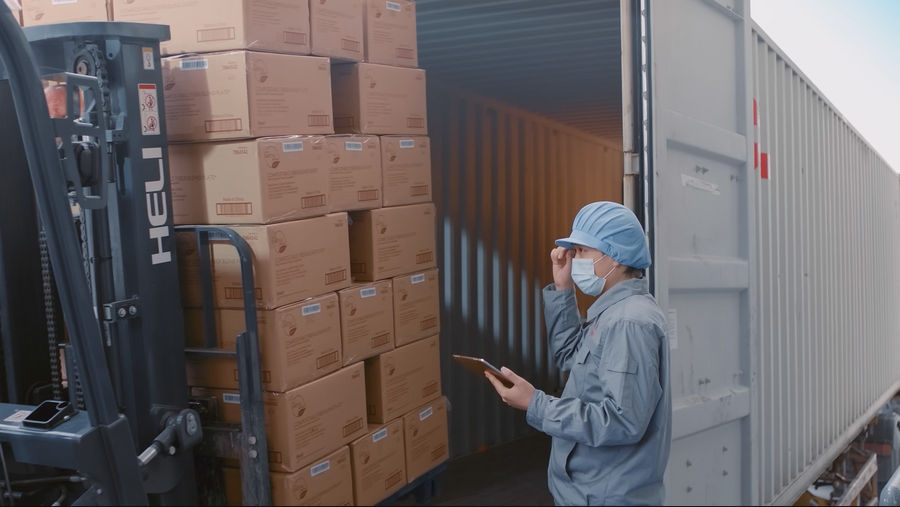 Export Carton, Packing Ratio and Container Loading: The Hidden Cost Foodservice Packaging Buyers Often Miss