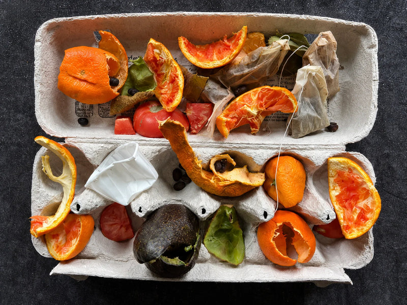 Why “Biodegradable” Is No Longer Enough for Foodservice Packaging Claims