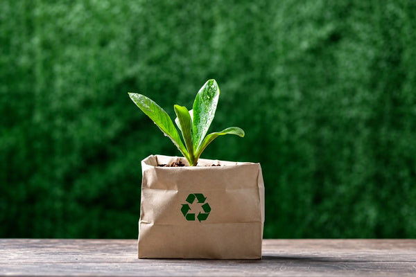 Kraft Paper Packaging for Germany: PPWR Roles, LUCID and Supplier Documents