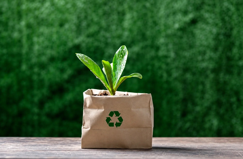 Kraft Paper Packaging for Germany: PPWR Roles, LUCID and Supplier Documents
