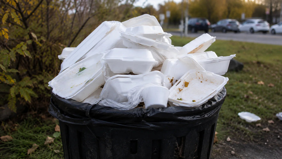 From Foam Boxes to Paper Takeout: Virginia’s July 2026 Foodservice Packaging Shift