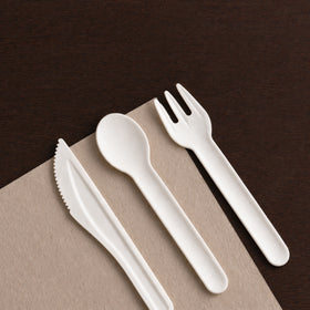 Paper Cutlery