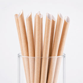 Paper Straws
