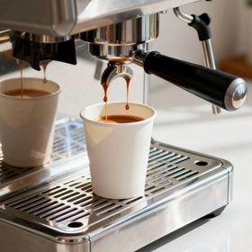 Single Wall Paper Cups