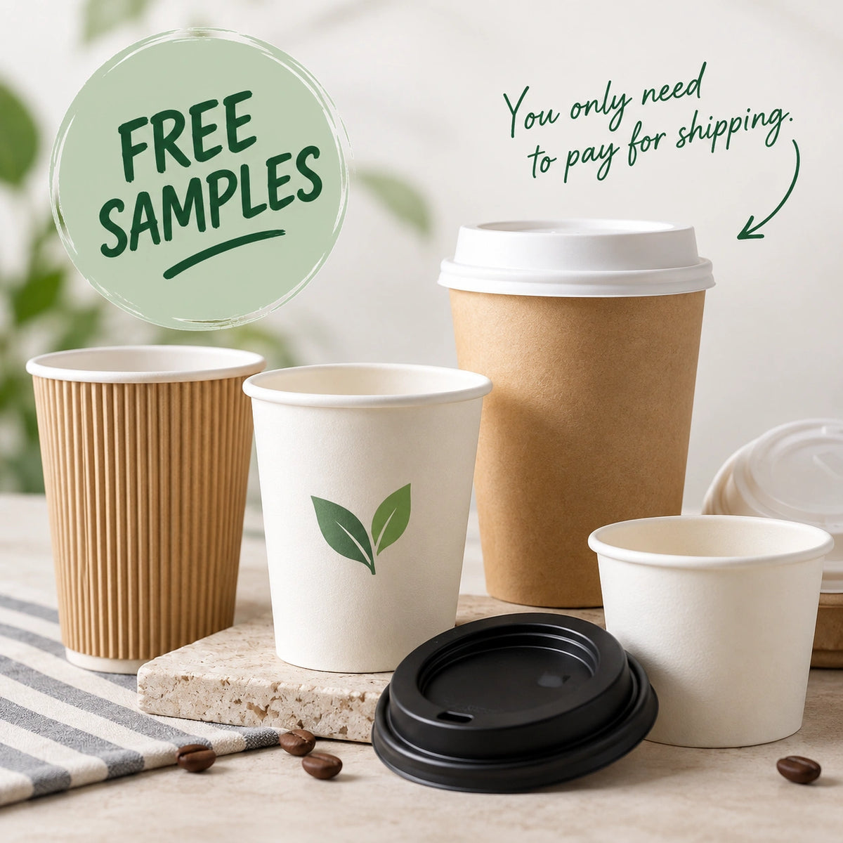 Double Wall Coffee Cups